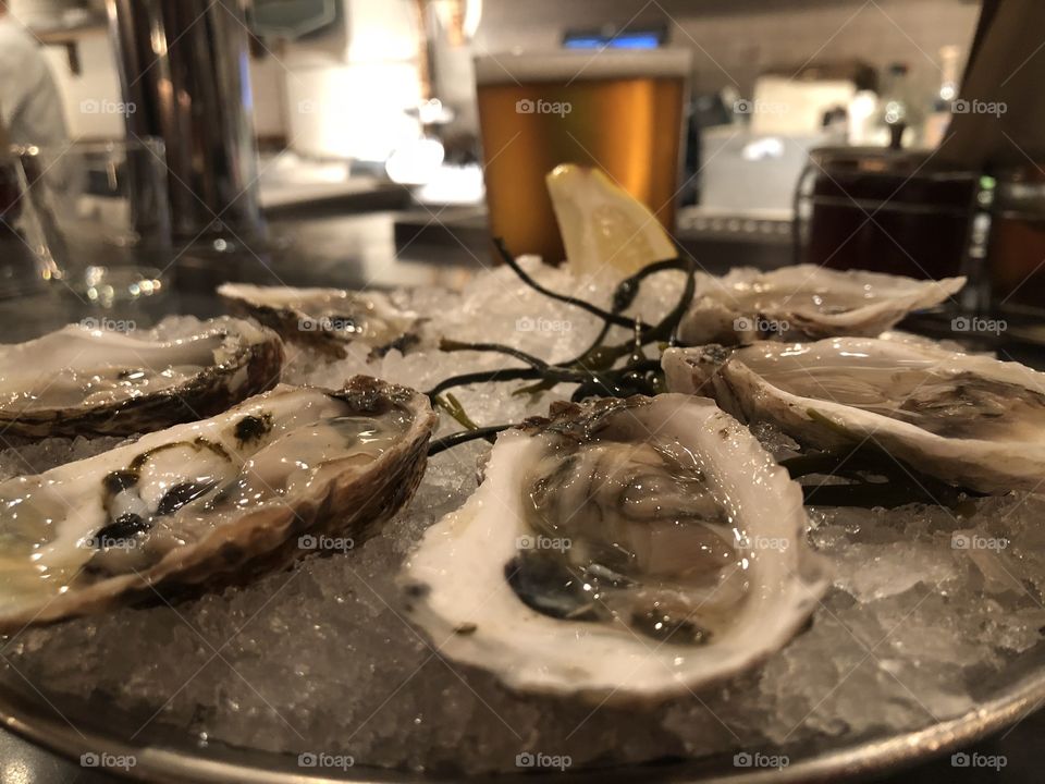 Oysters at the bar