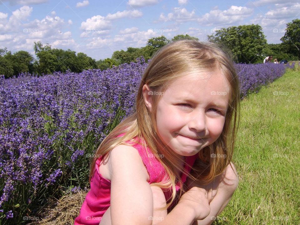 Lavender field