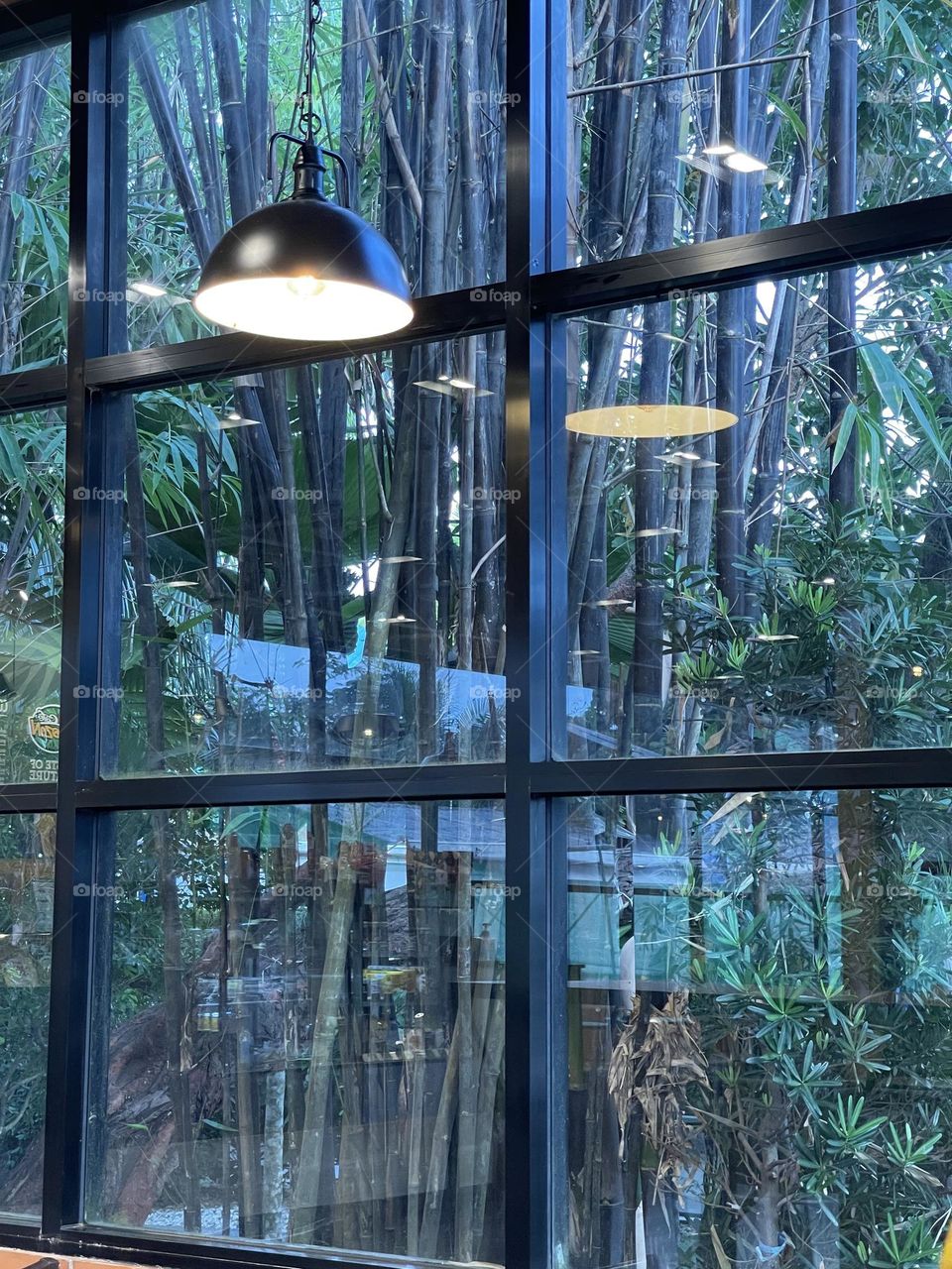Interior design of a local restaurant with a unique lamp design and beautiful view outside 