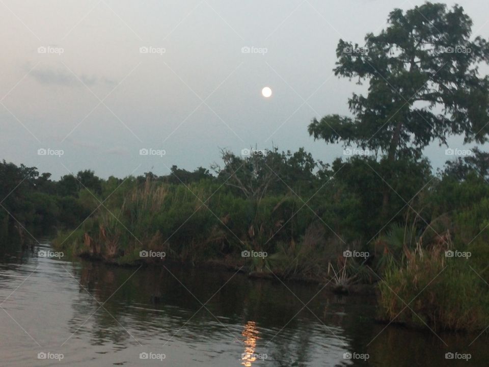 Moon over Bayou