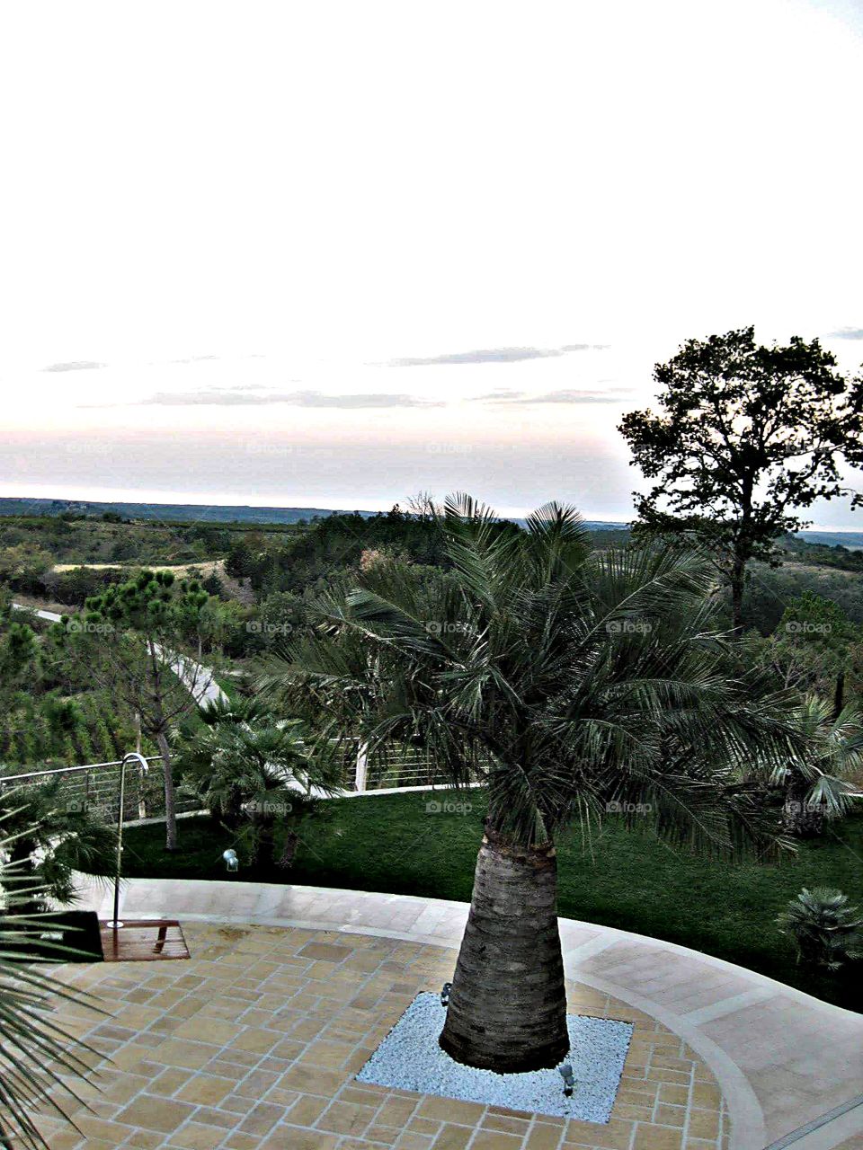 Tree, Garden, Landscape, Travel, Water