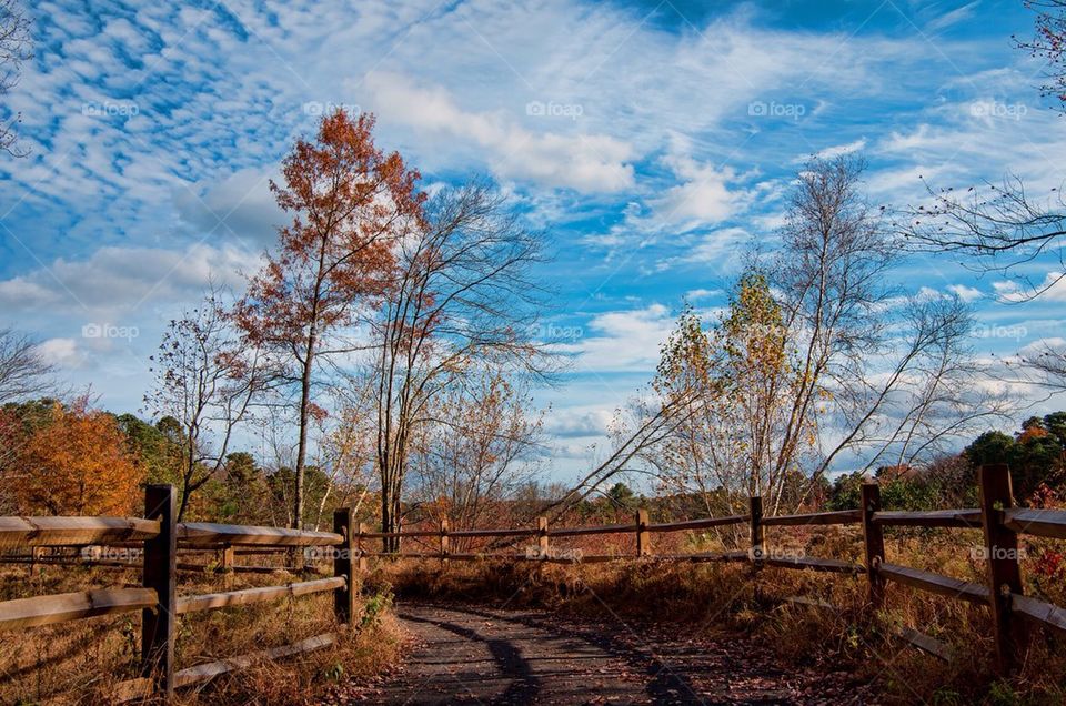 Autumn in Marlton New Jersey