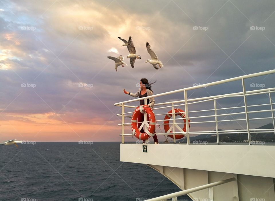 feeding gulls on a ship