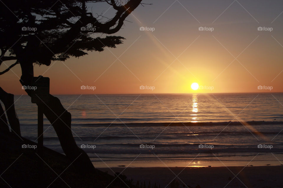 beach ocean sky tree by bengrant