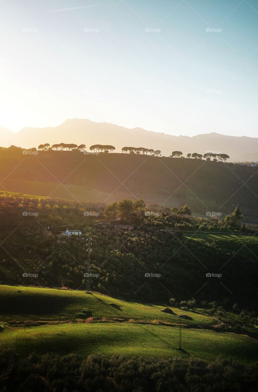 Sunset light over green hills