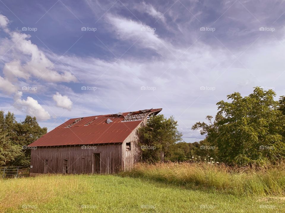 Summer evening on the farm with old barn
