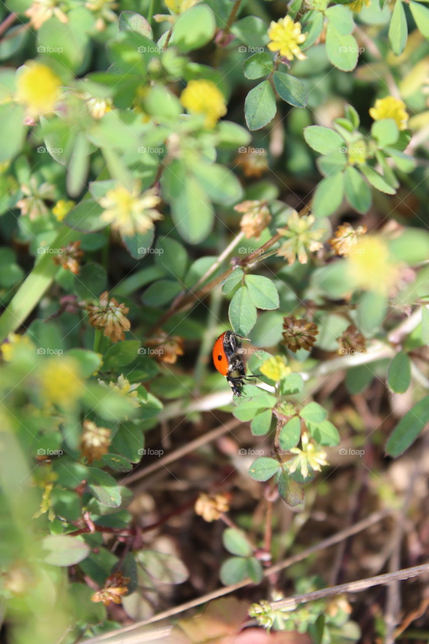 going down, down, down