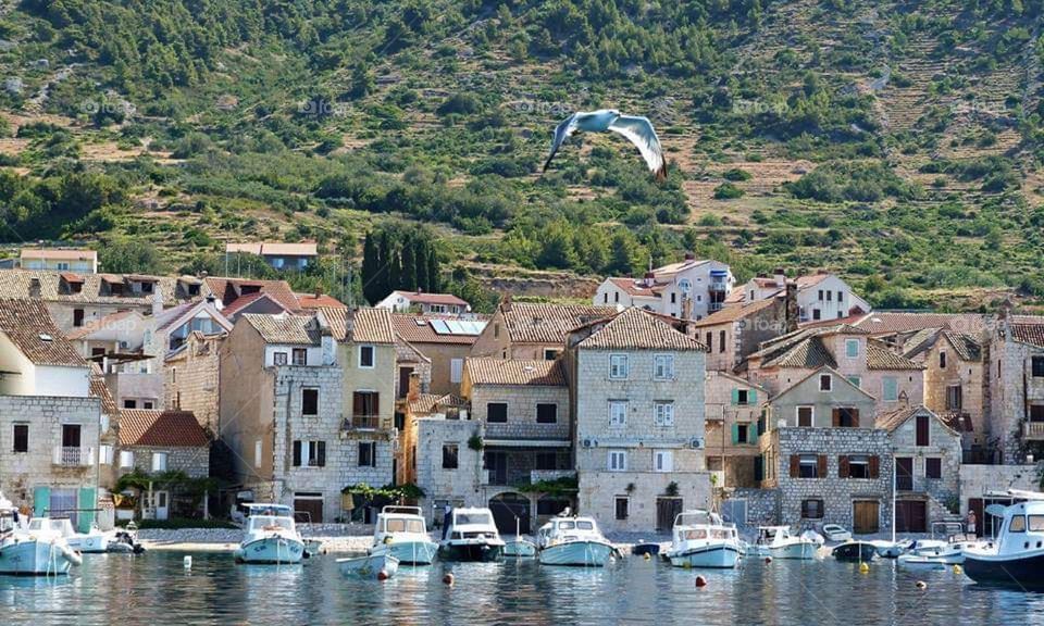 Komiža city from Croatia Island Vis