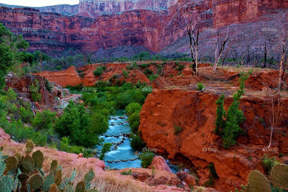 Havasu Creek in the bottom of the Grand Canyon