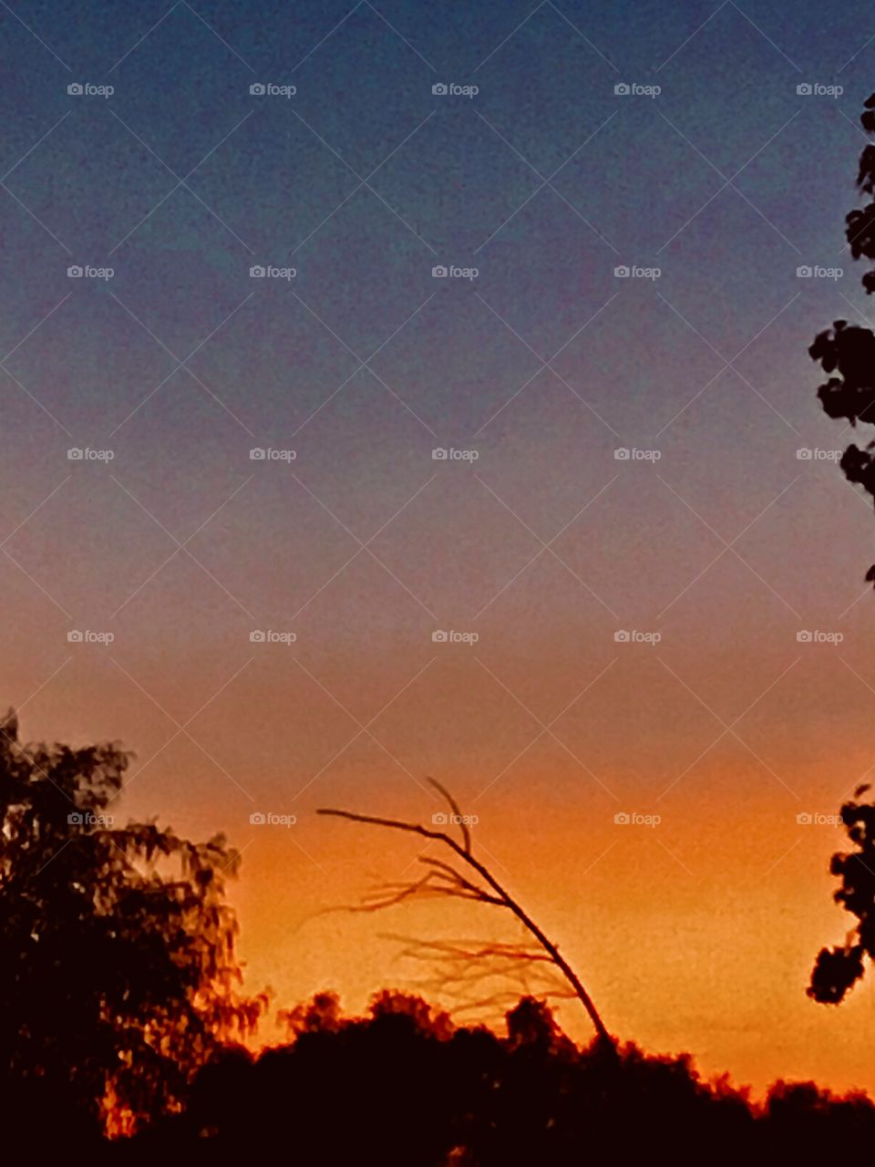 Well this day will be beautiful the sun is full of energy this morning. Colours of the spectrum will be brocasted world wide for this day.