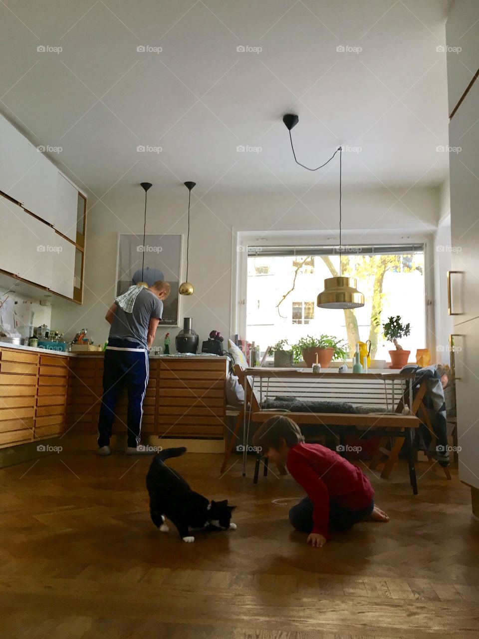 Boy plays with cat in kitchen, dad is doing the dishes