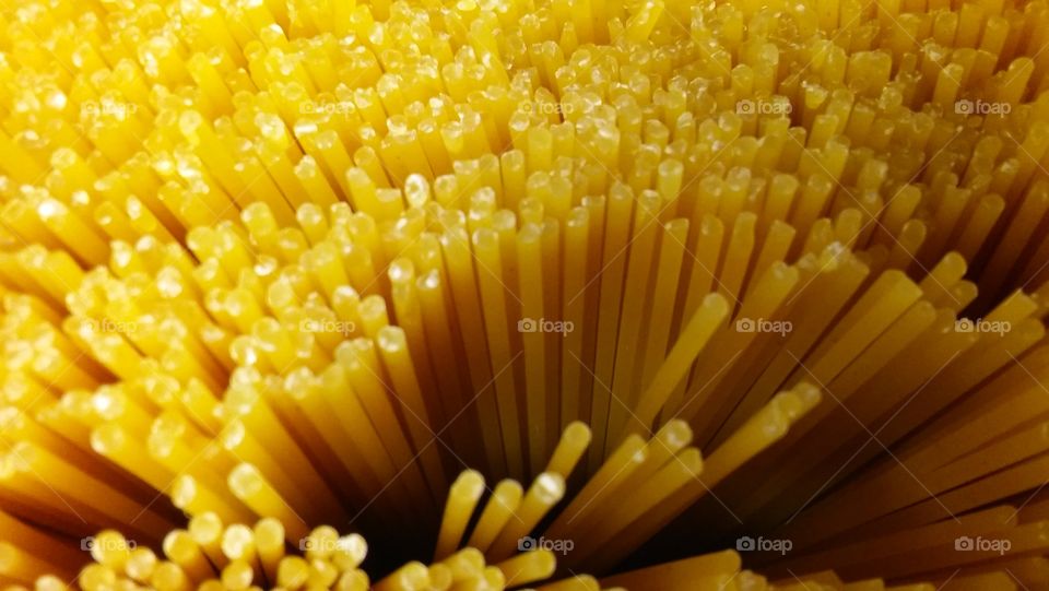 spaghetti close up