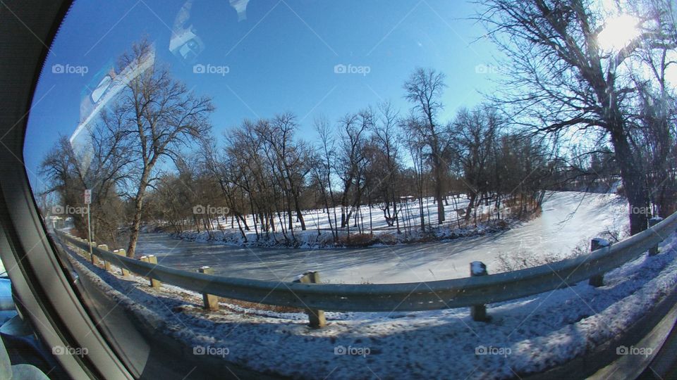Winter, Snow, Tree, Cold, Landscape