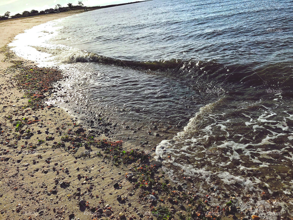 Walking along the beach...