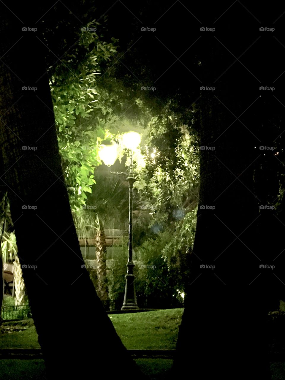 Night light in park