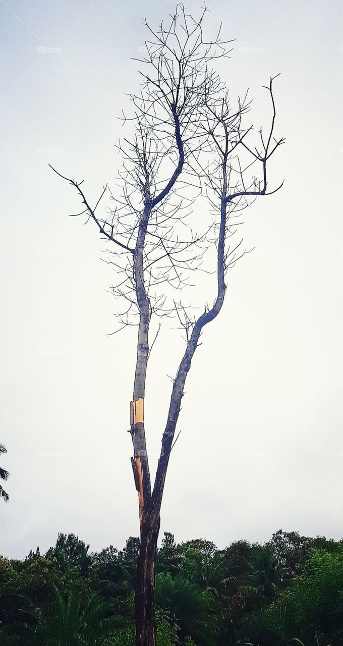 even distraction also looks beautiful