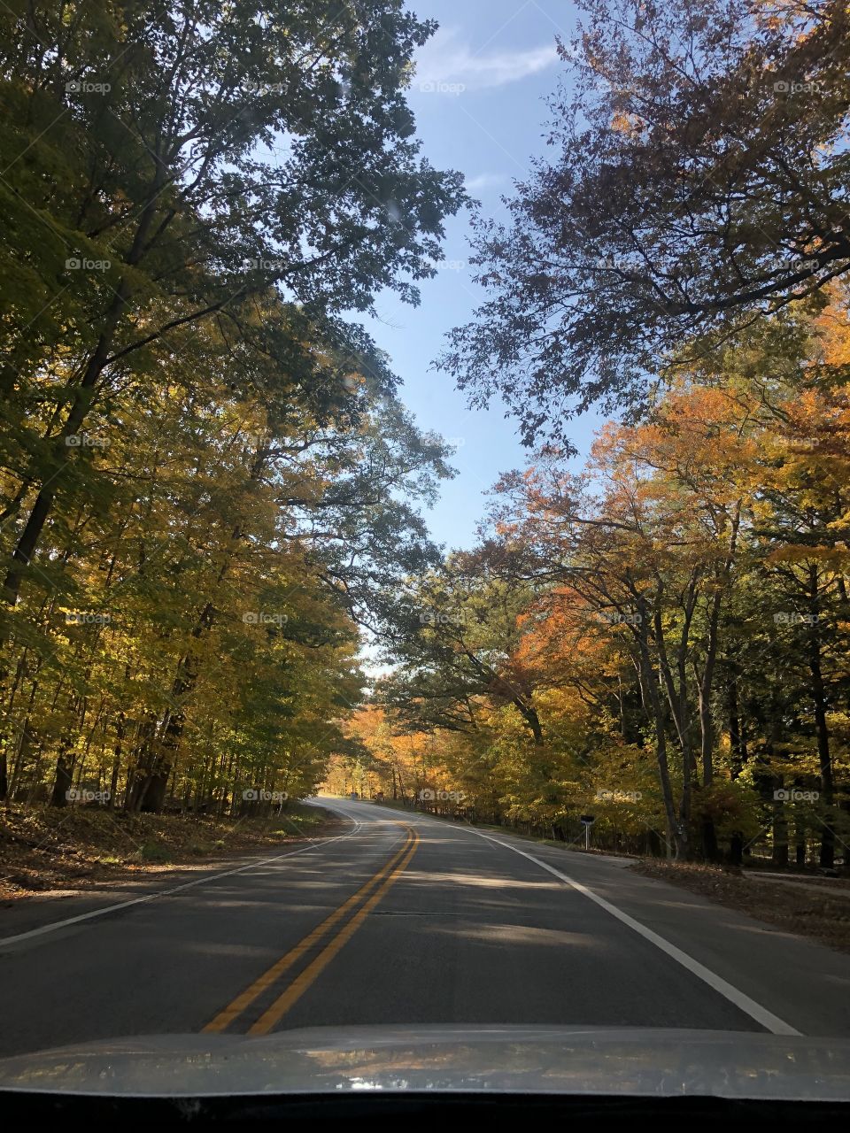 Road in Michigan, Indiana summer, yellow trees