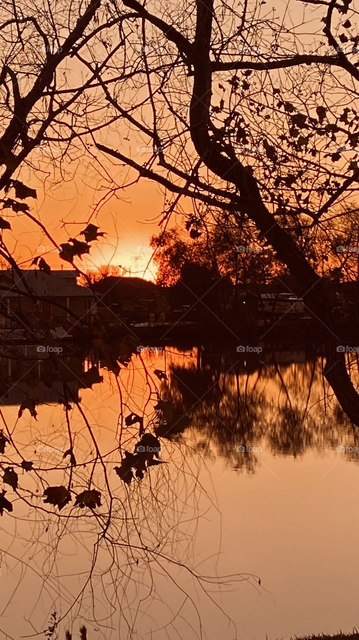 Just before Sundown the evening colours appear casting  backlit, reflections, silhouette from trees. 