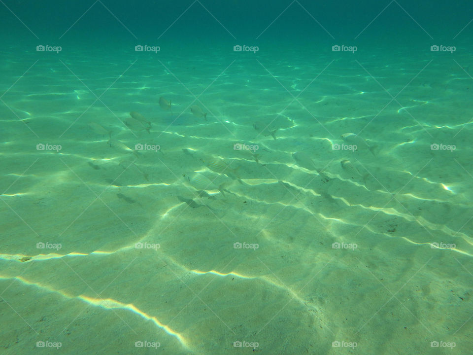 Below the surface. underwater view of sand and sea