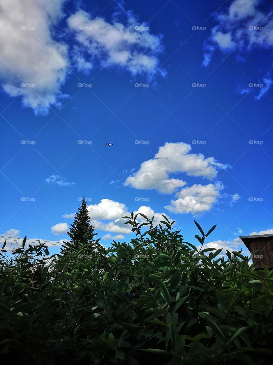 The plane is flying in the clouds