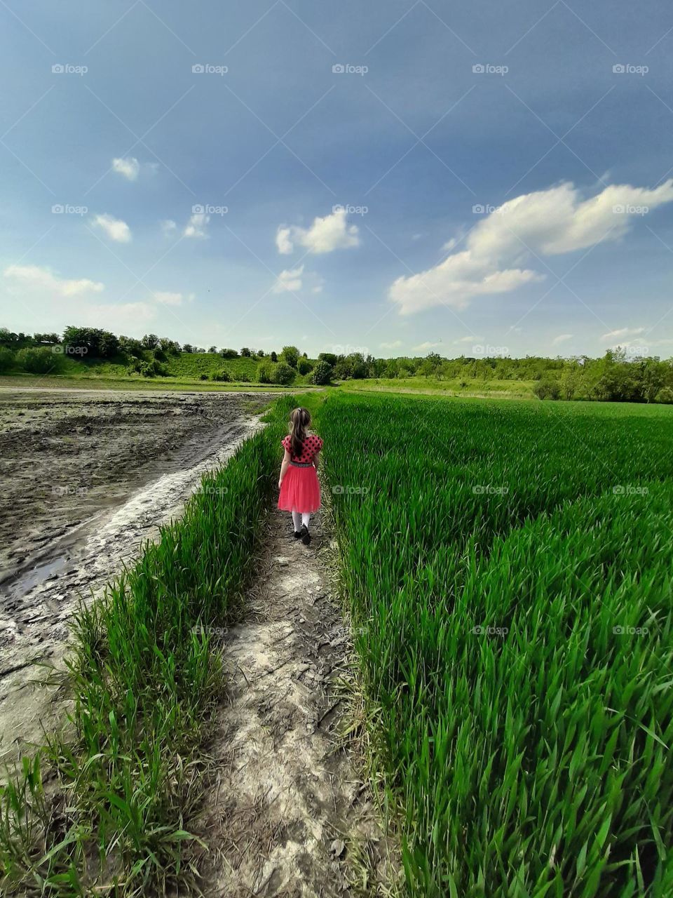 Little Explorer in a Green Field