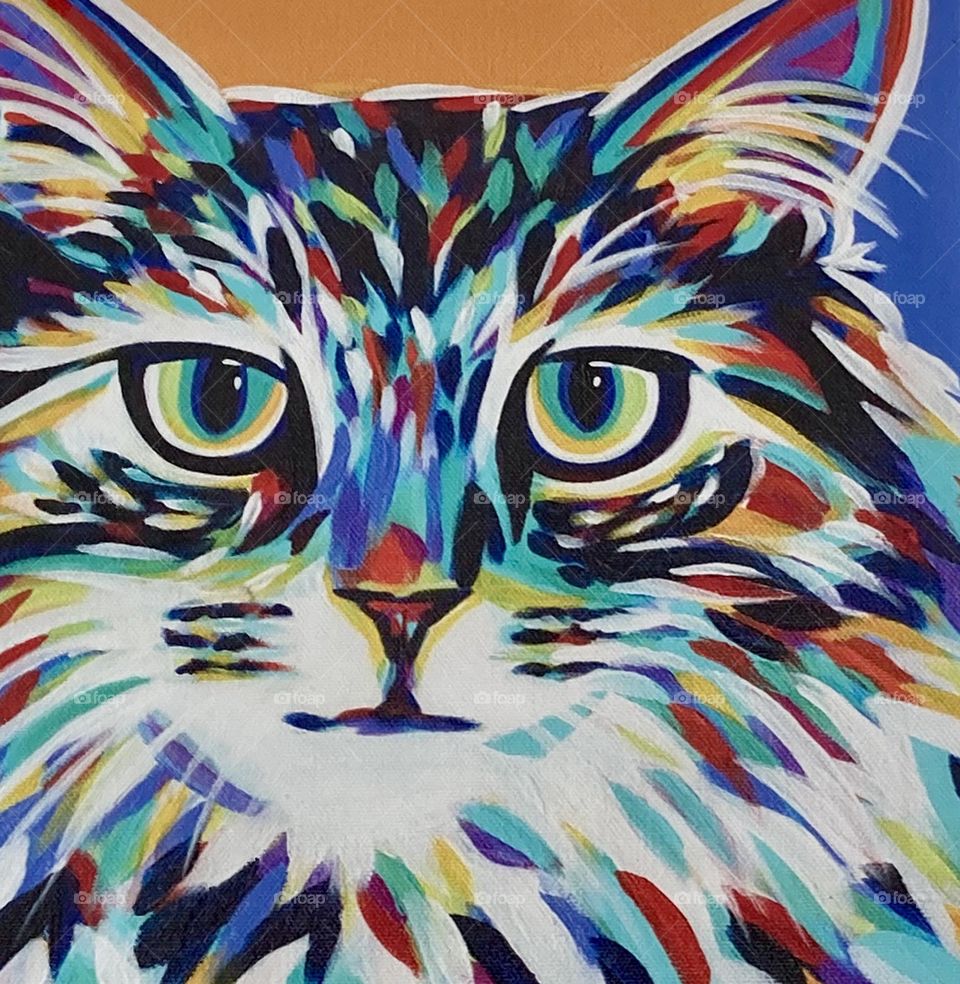 Painted colorful picture of cat 