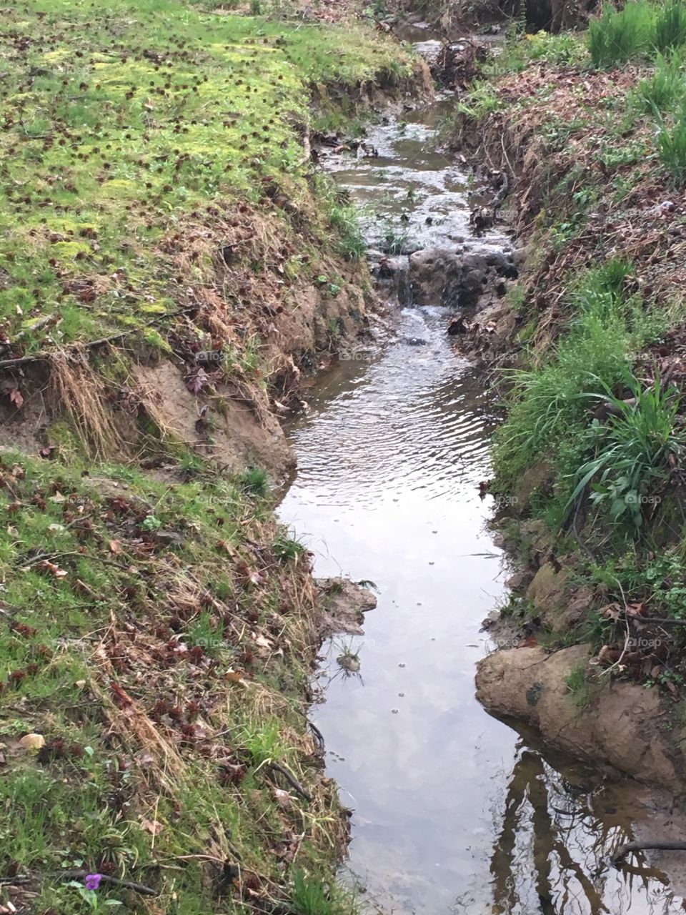 the creek 