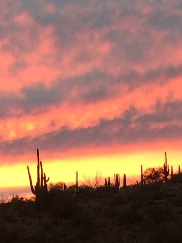 Sunset Beauty