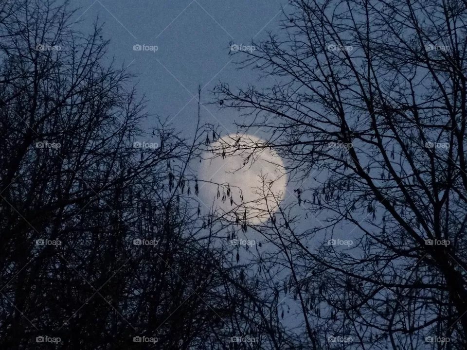 Moon