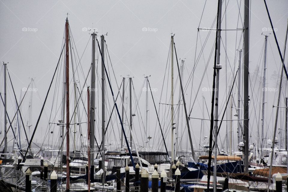 Masts and lines of sail boats in the marina