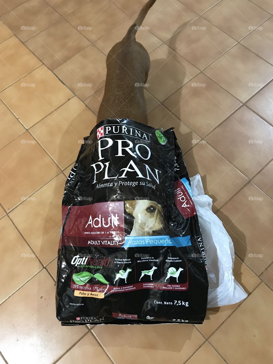 Dogslove food premium PROPLAN