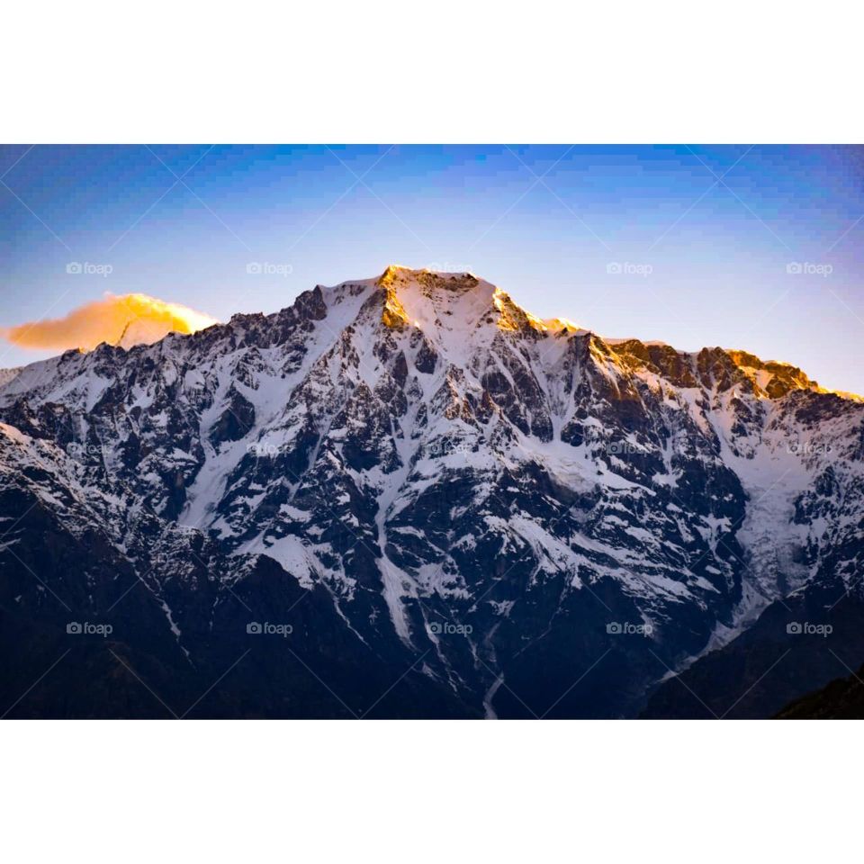 Editors' Choice: Photo of the week