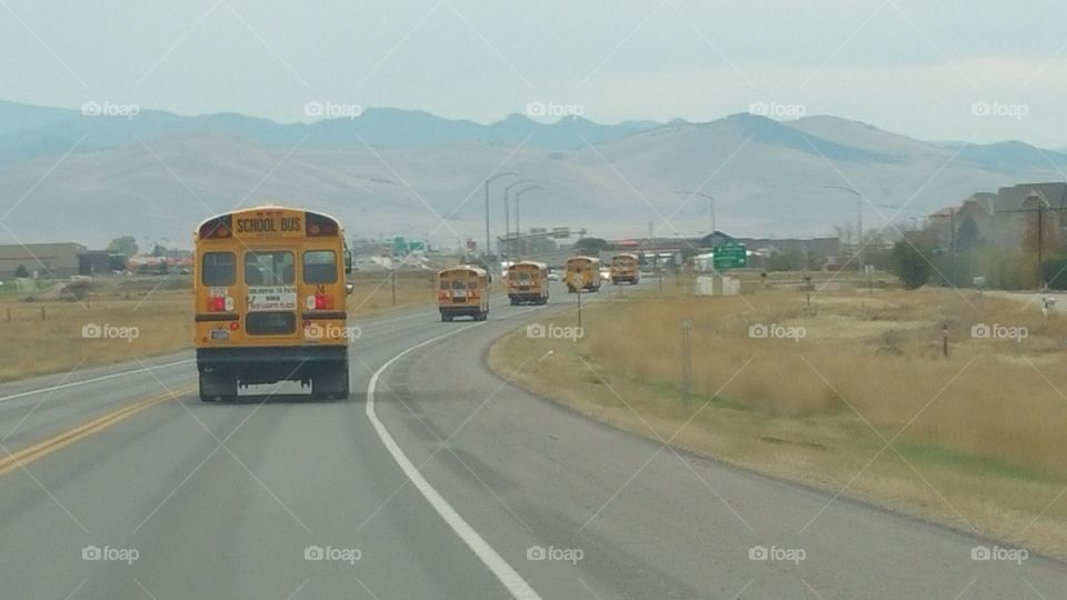 Buses in a row. Buses in a convoy
