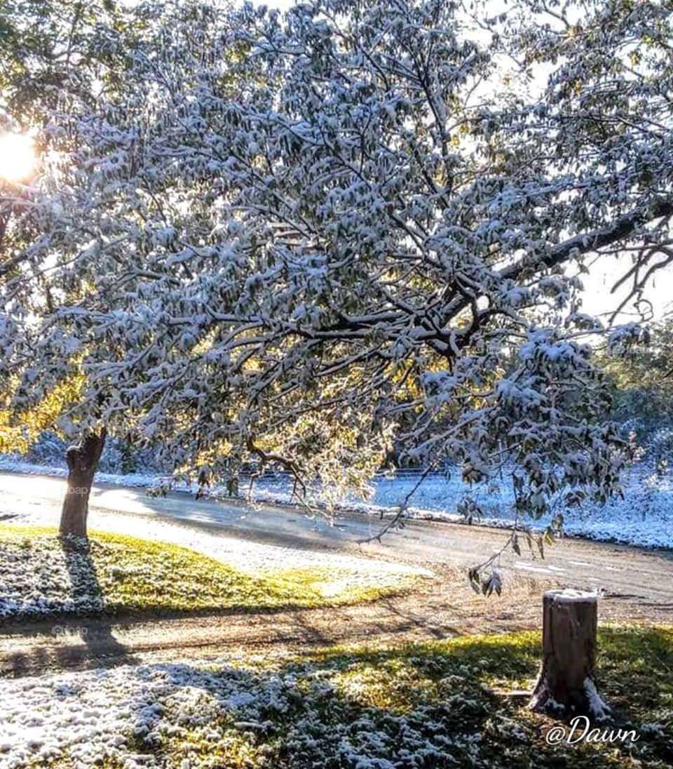 Kansas Winter Dusting
