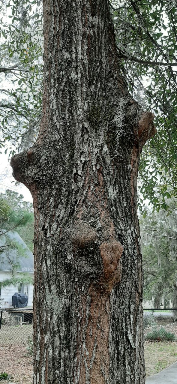 everytime I turn around this is staring at me😉