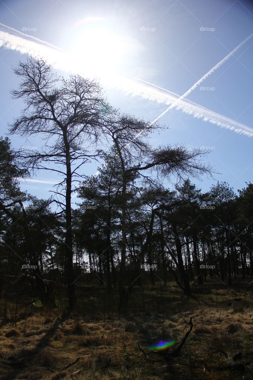 blue sky crossing