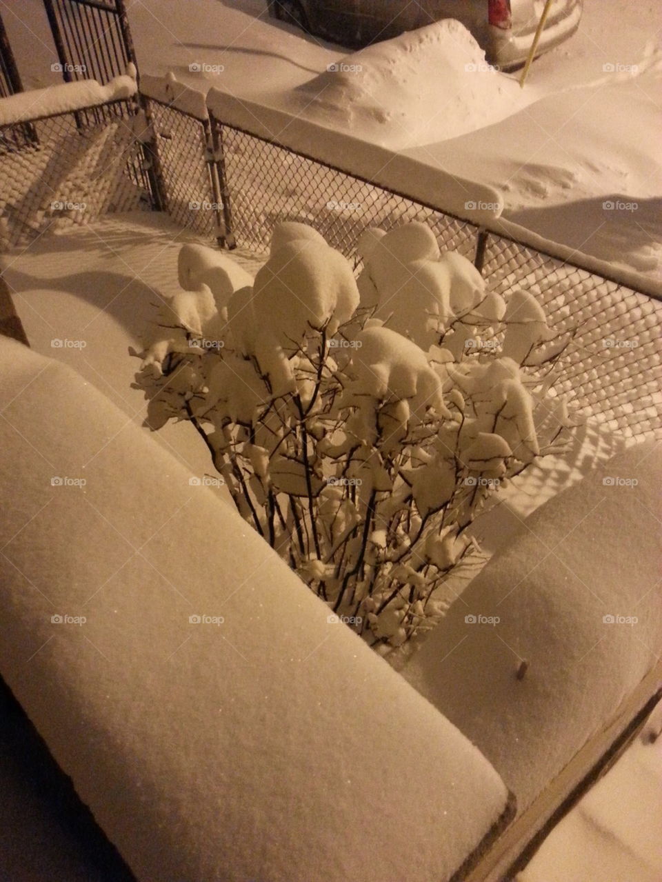 Cotton snow