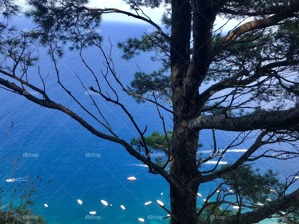 View from villa San Mikele, Capri