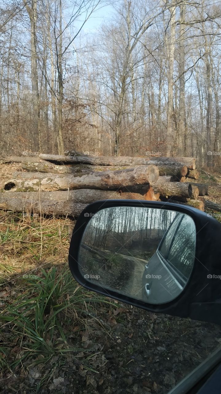 driving on a forest road