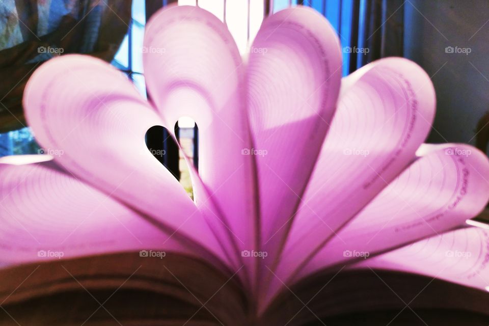 it's a diary with folding papers and it creates a heart shape picture .