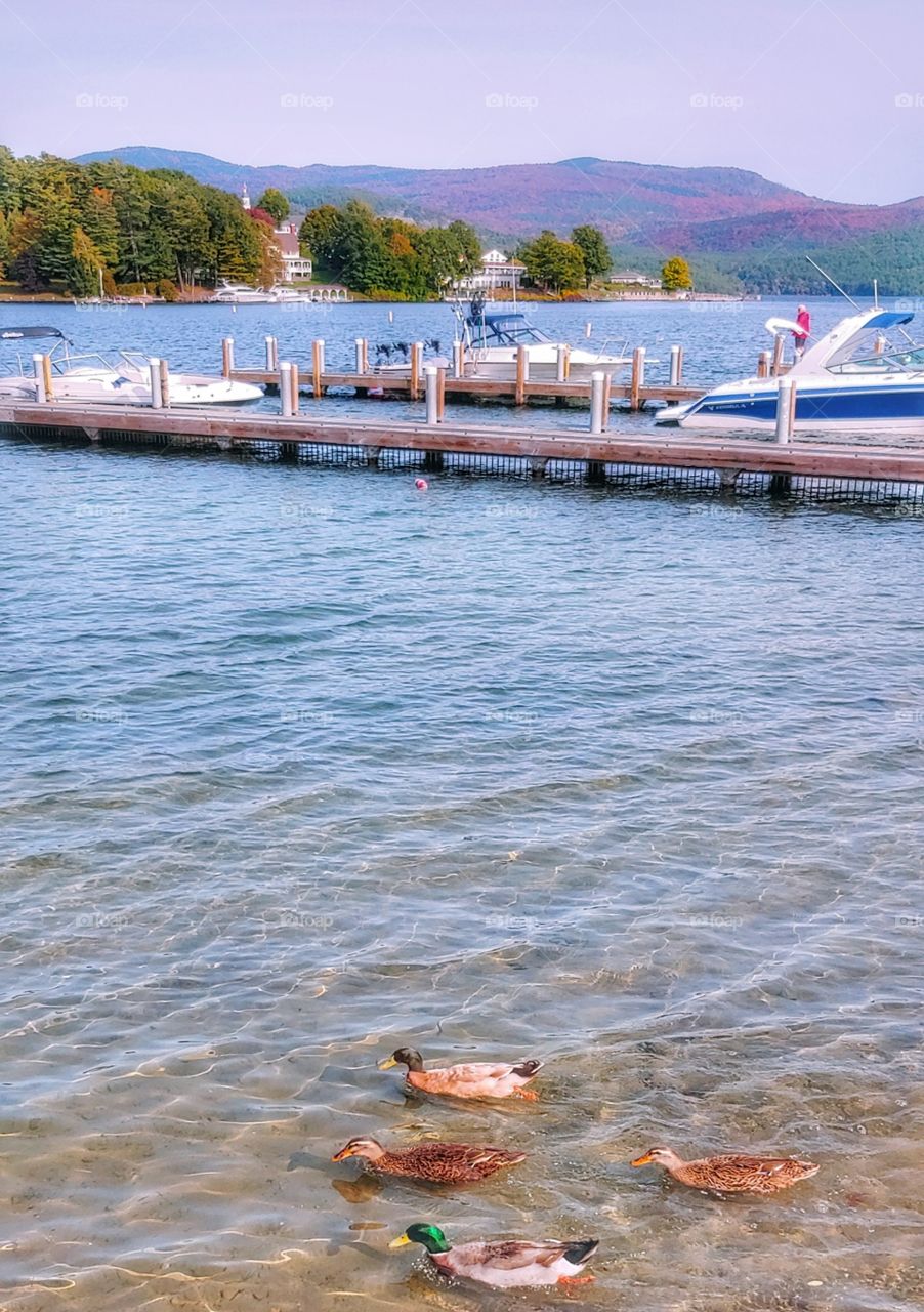 The beautiful Adirondacks in Autumn!