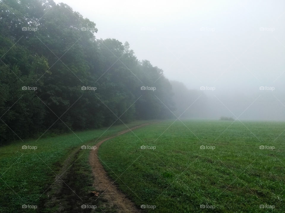 Misting morning in Stratham Hill Park