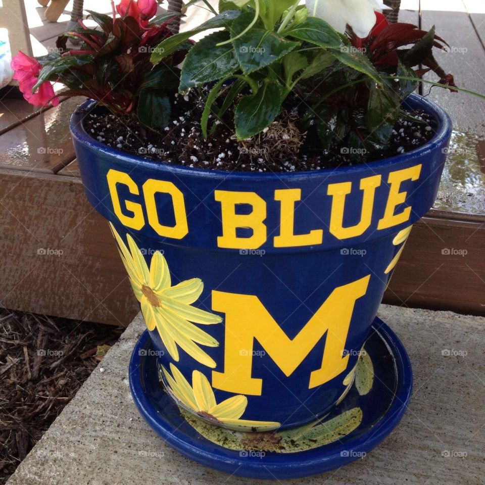 University of Michigan flower pot
