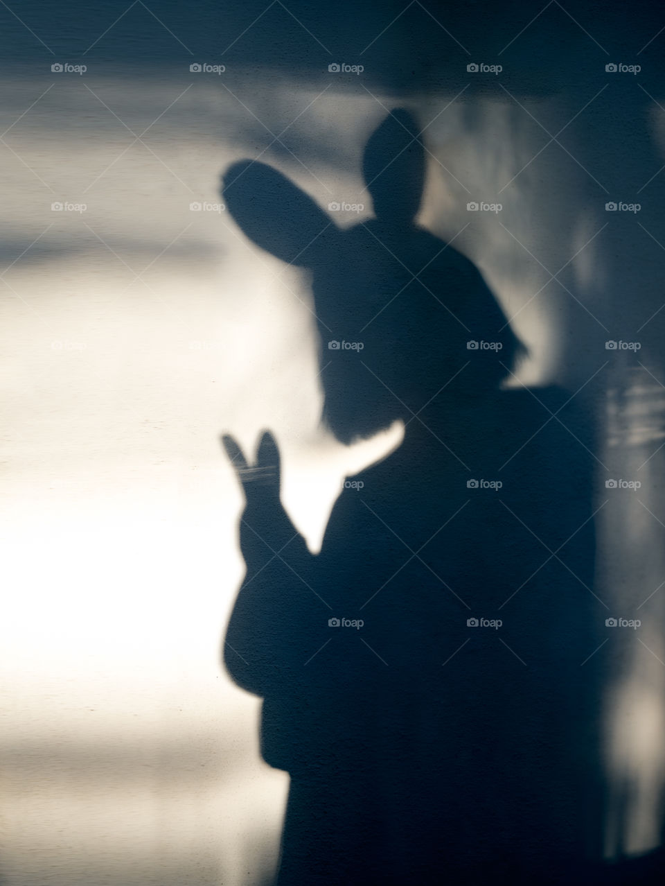 a shadow of a girl in bunny ears holding a rabbit