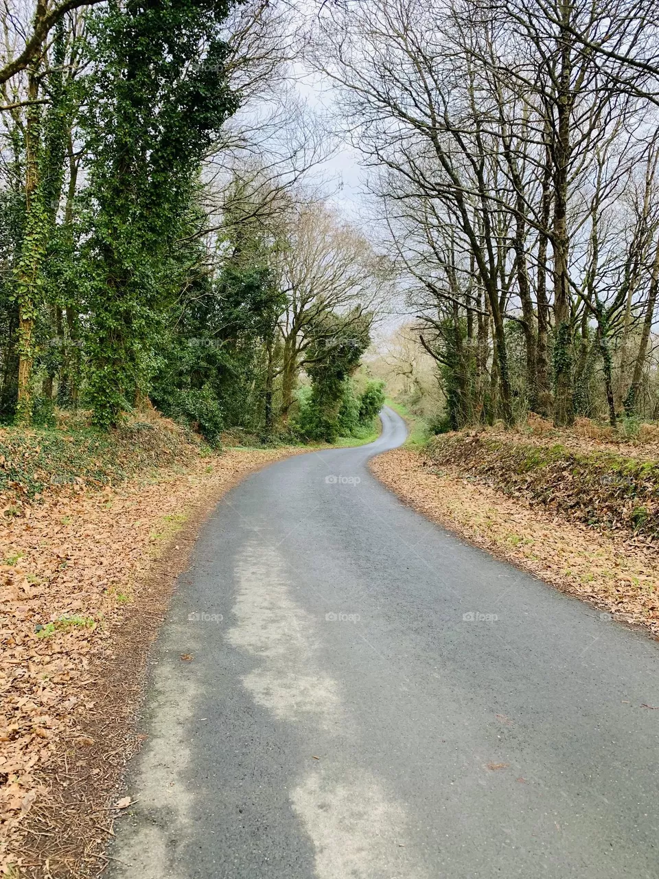 Walking