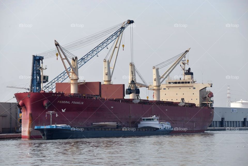 At the port of Antwerp