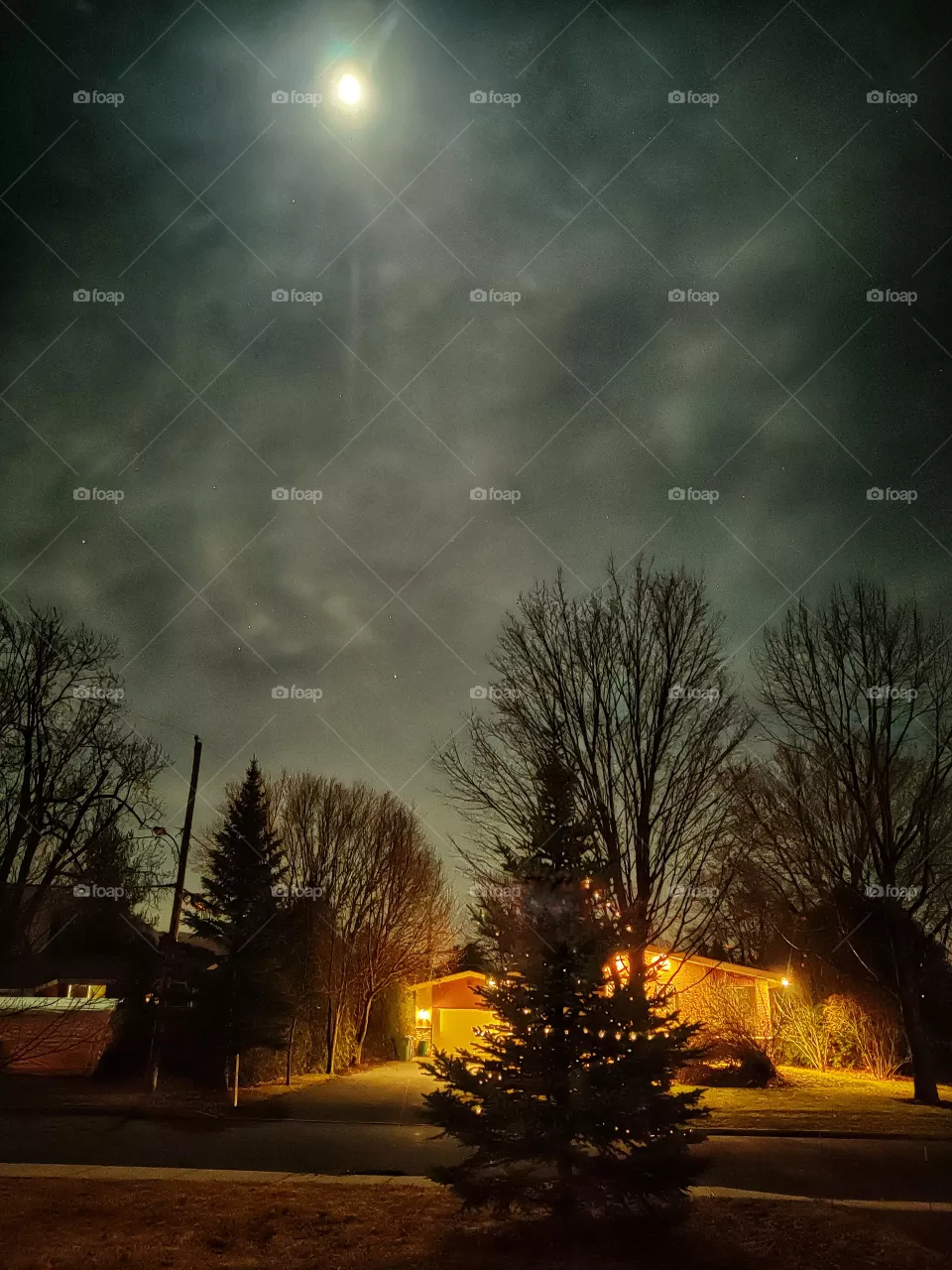 Night winter sky