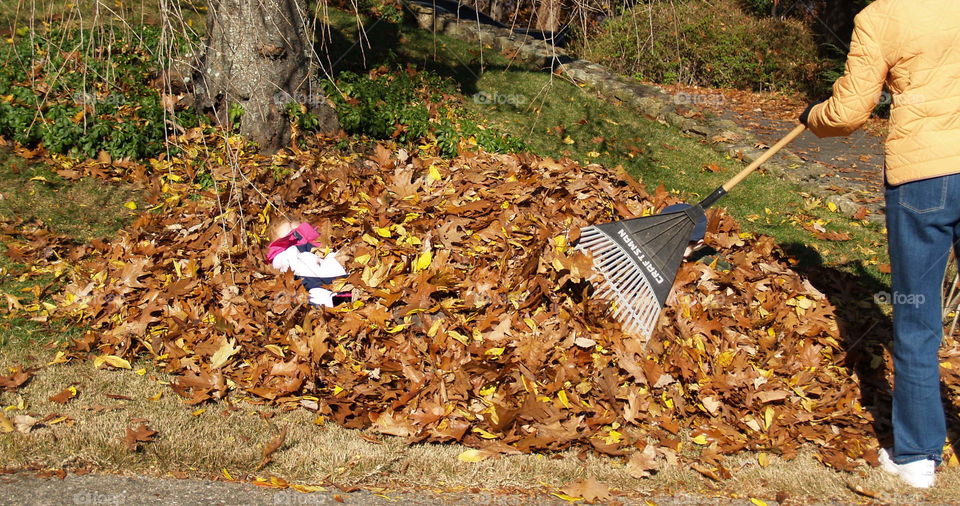 Hiding in the Autumn Leaves