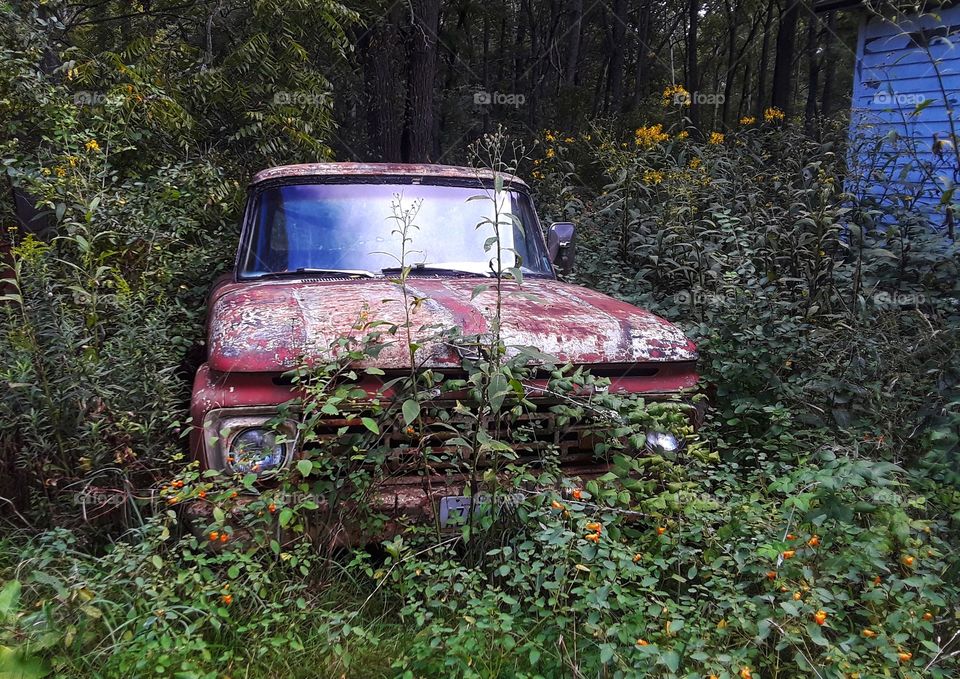 abandoned old truck
