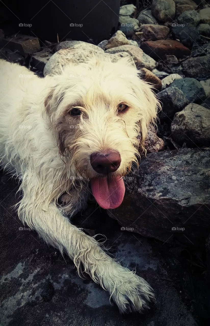 Ellie